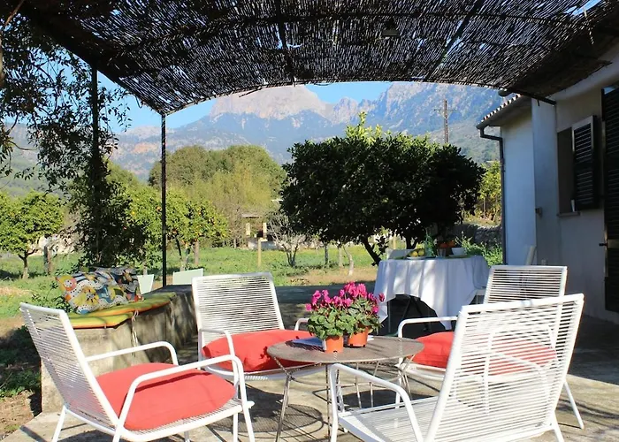 Soller Relax, Cozy And Rural Apartment