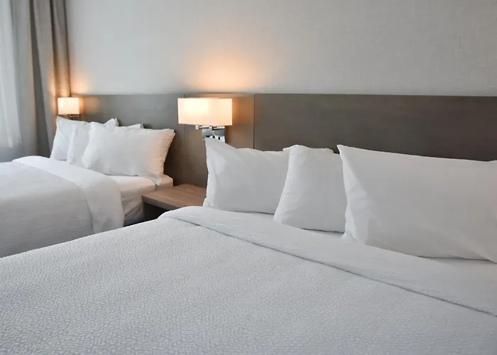 Repotel Levis