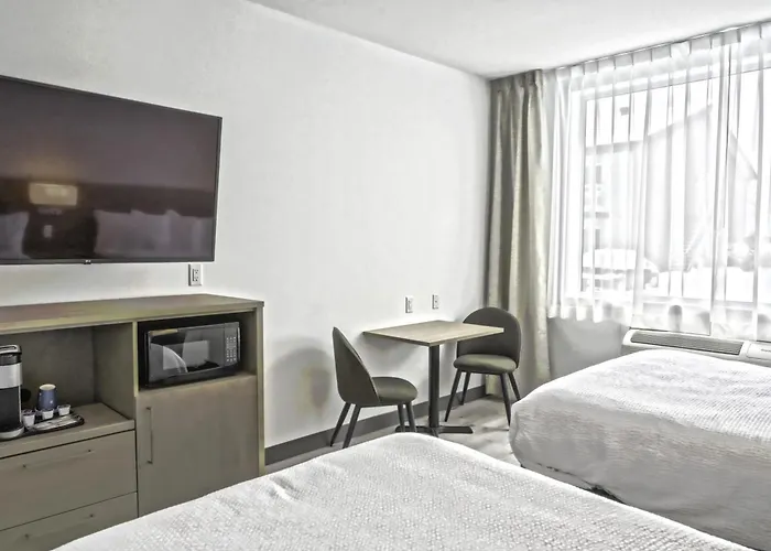 Repotel Levis