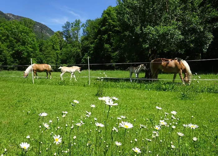 Ferienwohnungen Auhaus