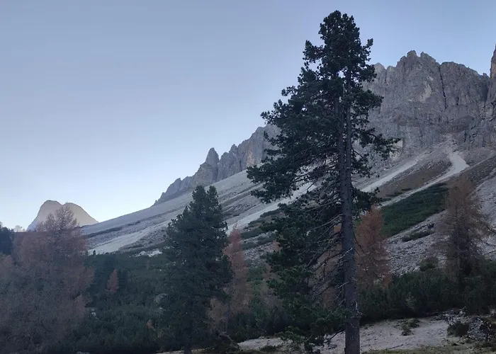 Dolomiten Home
