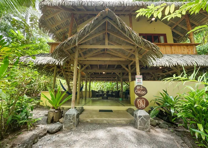 Copa De Arbol Beach & Rainforest Resort