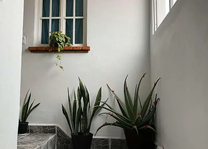 Casa Los Ninos