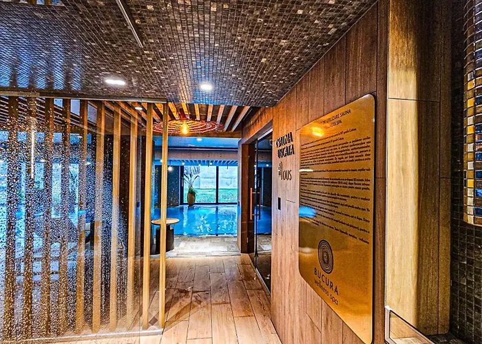 Hotel Bucura