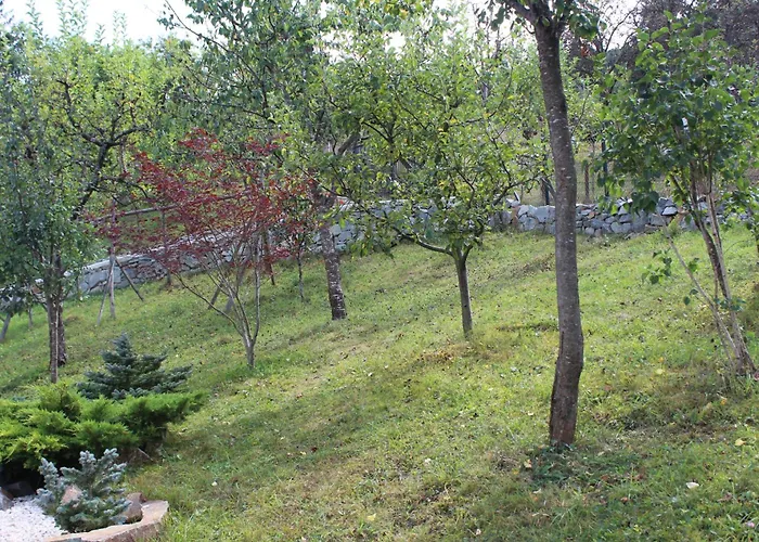 Green Garden