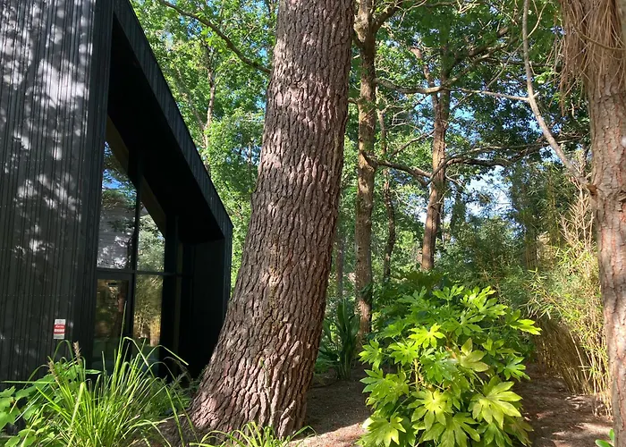Ecolodge 'Calme Et Nature' Avec Piscine Entre Lac-Plages Oceanes-Golf - Couchage 2 Personnes