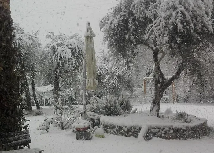 Agli Olivi Di Marciano