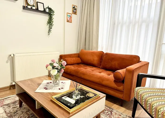 Modern Furnished Historical House