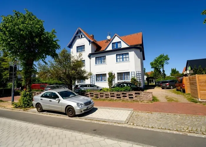 Strandnelke