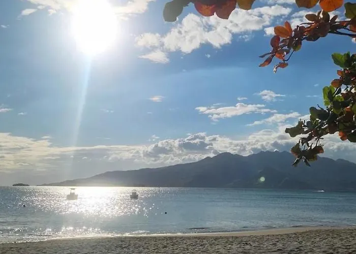 Subic Beach Haven Ph