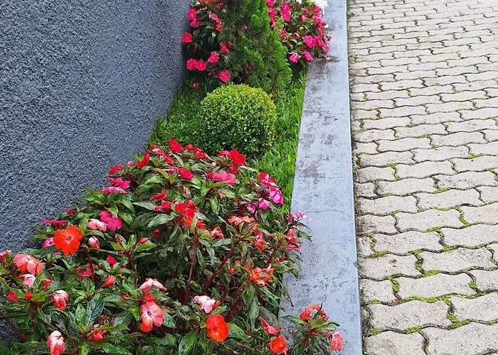 Nosso Loft Encantador Em Campos Do Jordao