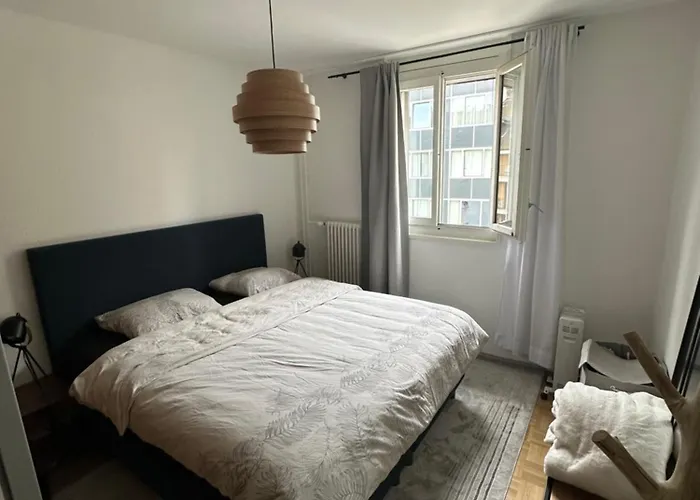 Magnificent Apartment, Geneva Center, Geneva Lake