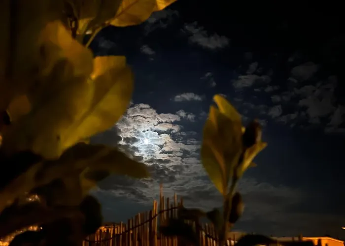 La Casetta Di Fiore