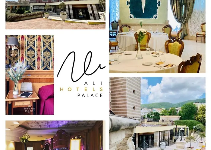 Ali Hotels - Palace