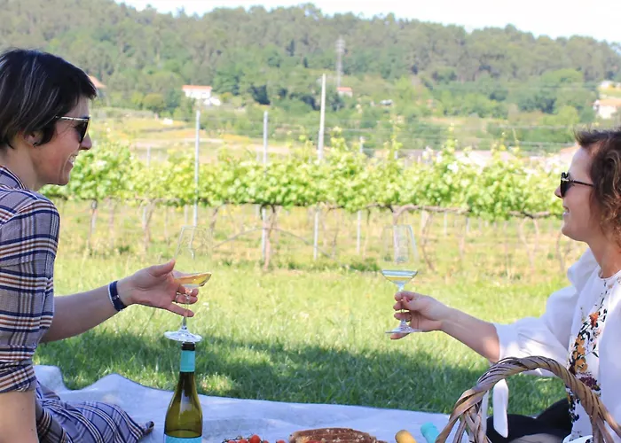 Quinta Pousada De Fora Wines & Tourism