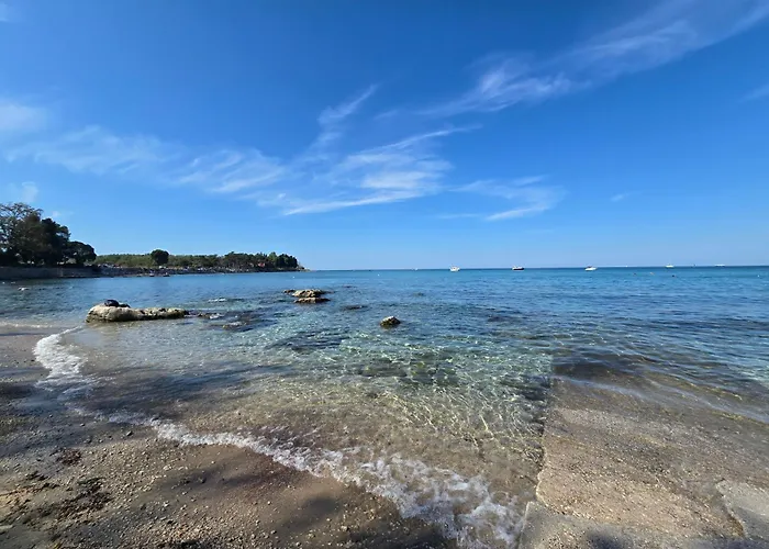 Marine Bliss