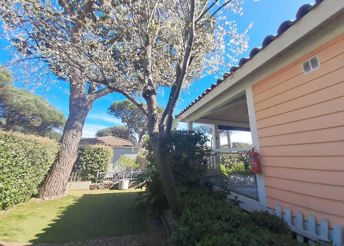 Gaspro21 - Golfe De Saint-Tropez, Chalet Californien Pour 8 Personnes