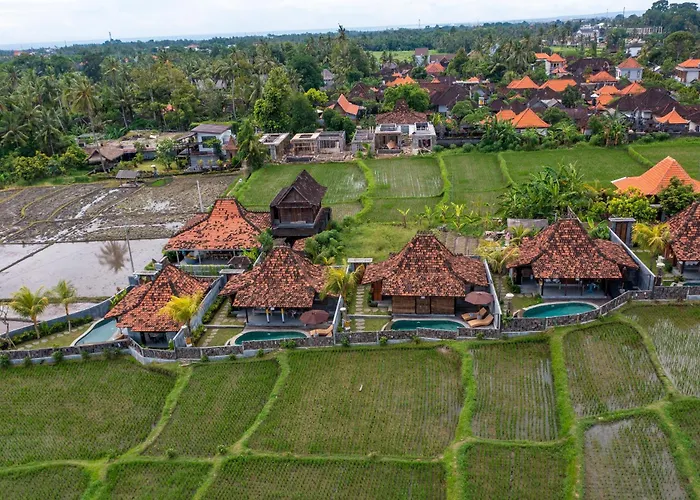 Kayu Senses - Private Villas Around Endless Ricefield
