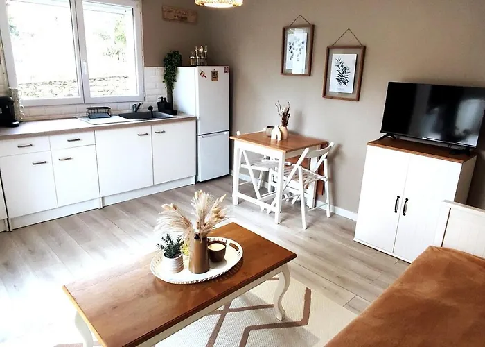 Logement Lumineux Bord De Foret