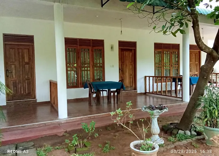 Jungle View Guest