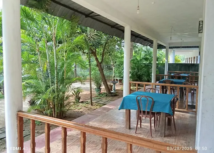 Jungle View Guest