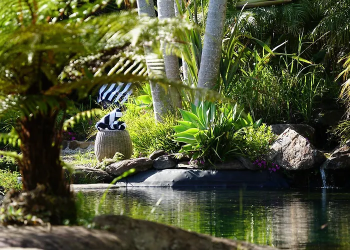 Avalon Resort