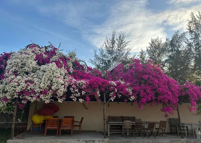 Orchid Boutique Beach Resort