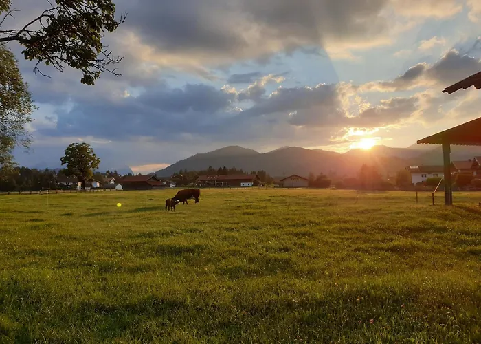 Ferienwohnungen Hanslbauer