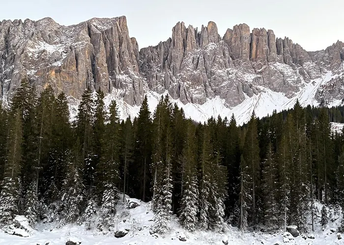 Chalet Tschattlhof Dolomites