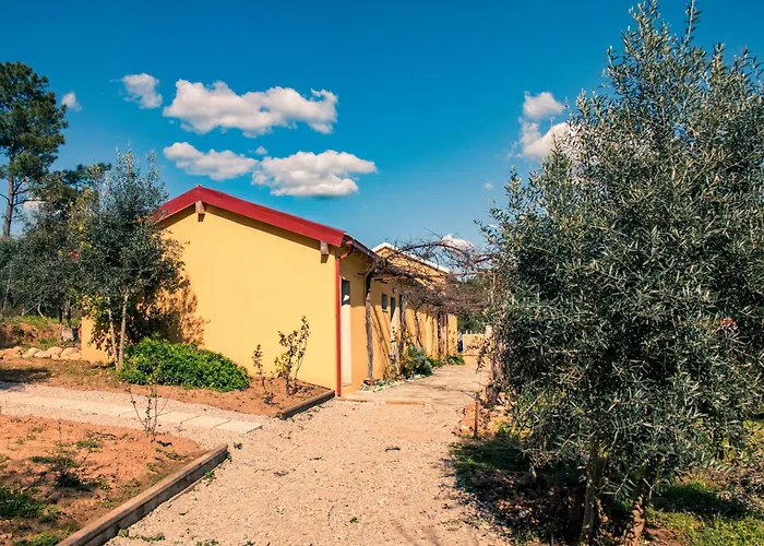 Quinta-Lina De Serpins
