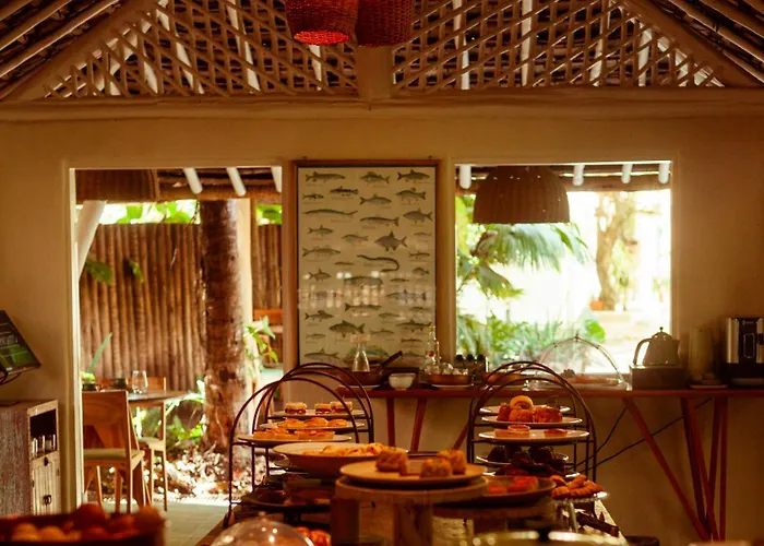 Pausa Trancoso
