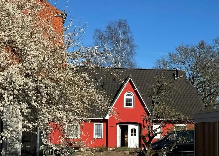 Ostseedomizil "Ankerbuk", Ferienwohnung Moewe