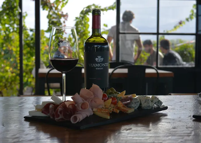 Viamonte Winery Lodge