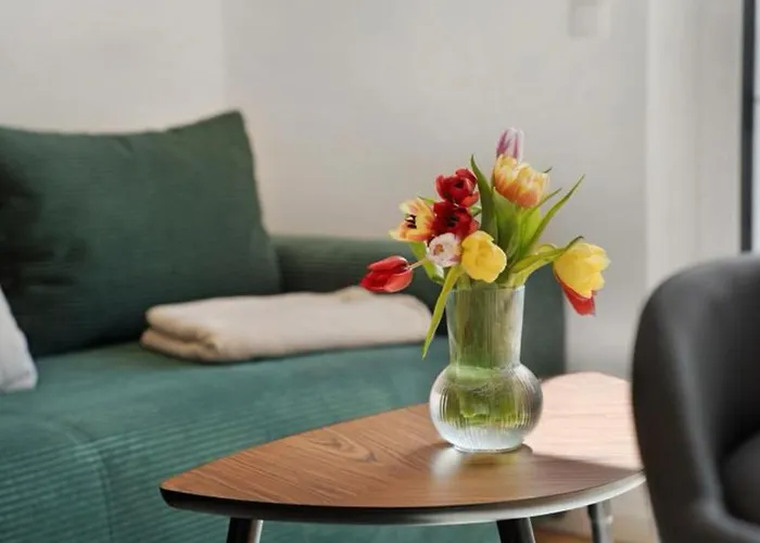 Modernes Und Wundervolles Loft In Greifswald