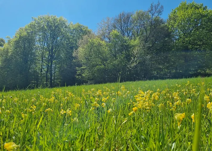 Landhaus Talblick- Fruehstueckspension-Hotel Garni (Adults Only)