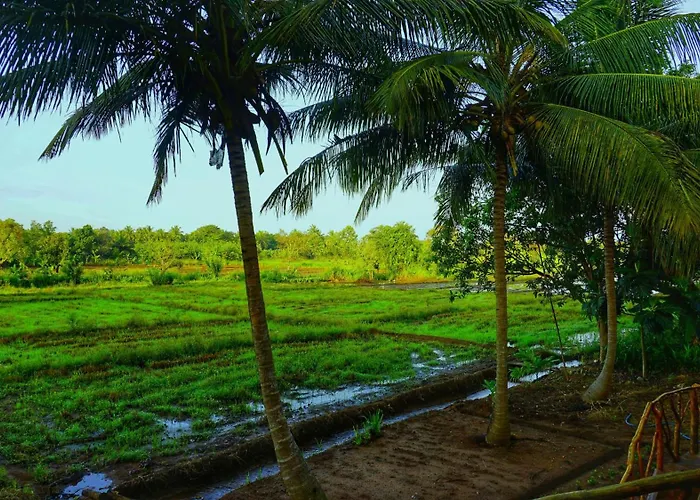 Paddy View Cabana Sigiriya