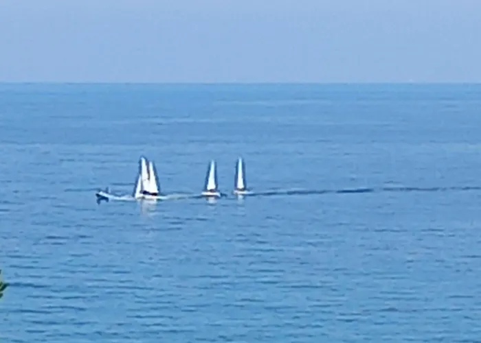 Sweet Sea View