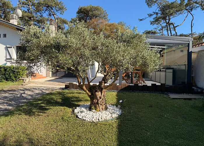 Villa Dune & Ocean