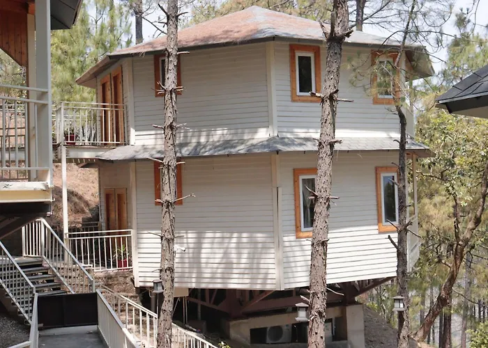 The Woods Retreat