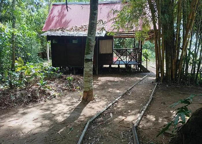Lodge Parayso -Tambopata