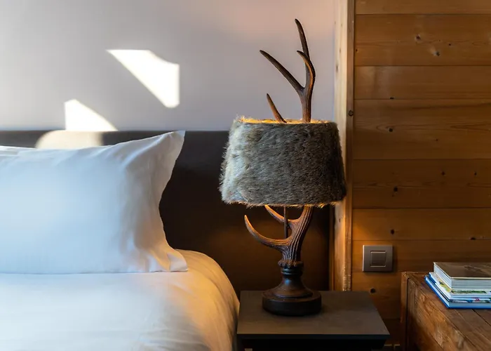 Chalet Hotel Kaya