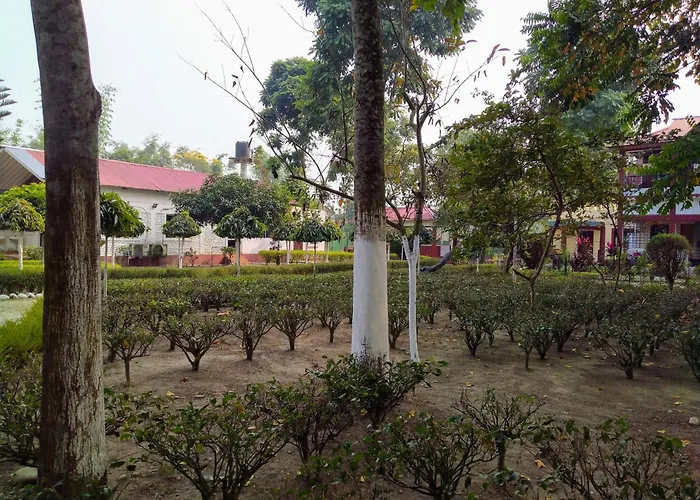 Resort Morning Glory