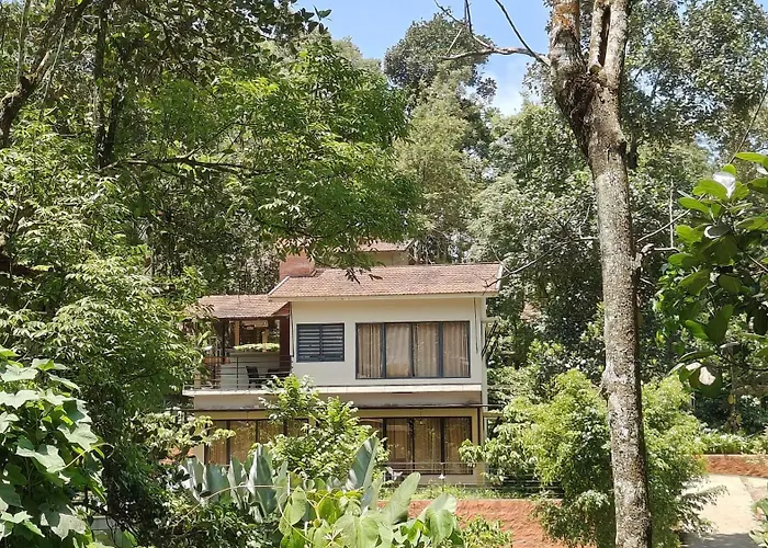 Safari Hills Vythiri
