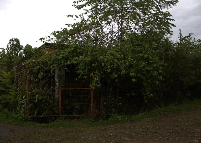 Home La Fortuna