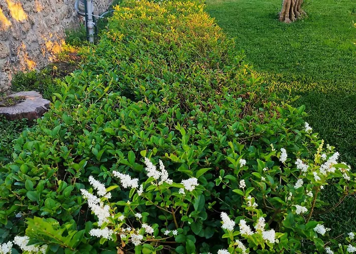 Il Giardino Di Athena 1