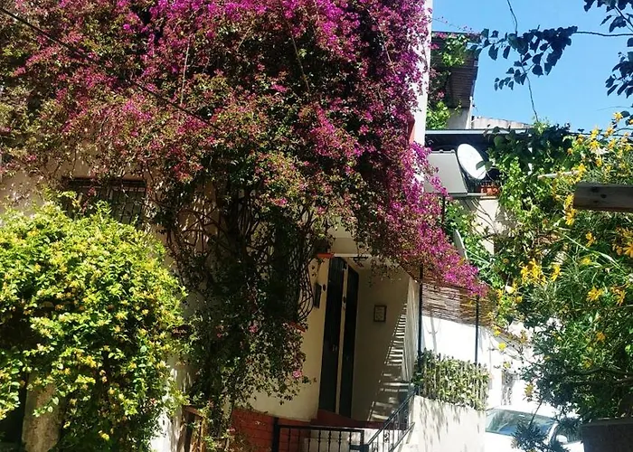 Small House