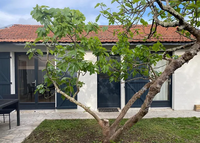 Villa Le Figuier