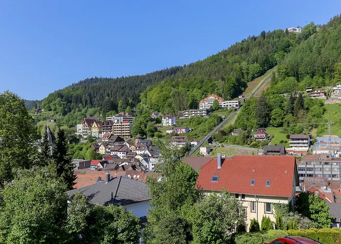 Aparthotel Schwarzwald Panorama
