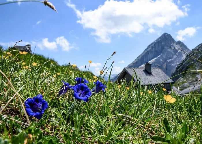 Haus Berggesundzeit Doppelzimmer Kaerlingerhaus