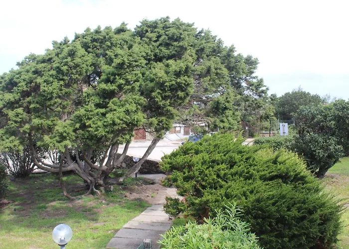 Casa Vacanze Nuovi Orizzonti I3 - Stintino